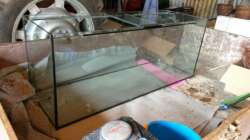 Aquarium 450 l Wurzelbiotop