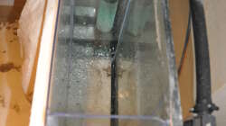 Rechter Filter 14.07.2014