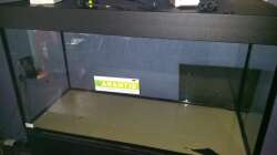 Aquarium Südamerika Becken