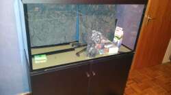 Aquarium Südamerika Becken