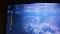 Jeabo WP10 Wavemaker