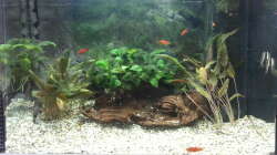 Aquarium JUWEL Rekord 700