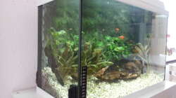 Aquarium JUWEL Rekord 700