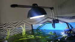 LED Lampe