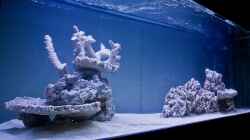 Meerwasseraquarium mit 35 kg totem Gestein