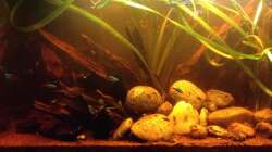 Gestern noch ohne neue Bepflanzung 