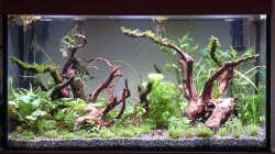 14 Tage nach dem einrichten