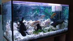 Aquarium Becken 3101