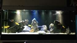 Gesamtansicht mit allen Led`s