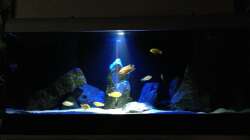 Mit normaler Beleuchtung