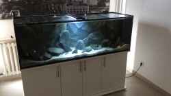 Aquarium Tank 2 NonMbuna