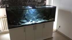 Aquarium Tank 2 NonMbuna