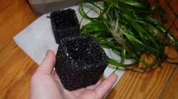 Pflanzelement für Becken mit wenig/ ohne Bodengrund