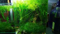 Mögliche Gestaltung für einen 30l-Cube (Vorgänger des 60l-Cubes)