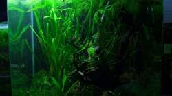 60l nach dem Einrichten