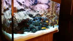 Aquarium Becken 31106