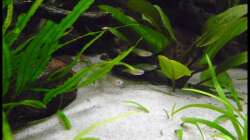 Ganz frisch nach dem Einzug