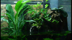 Aquarium Two Worlds Nur noch als Beispiel