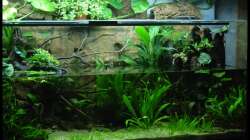 Aquarium Two Worlds Nur noch als Beispiel