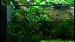 linke Seite 22.11.2014