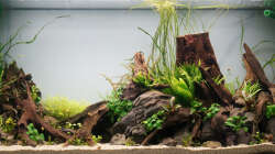 Neu eingerichtet und frisch bepflanzt