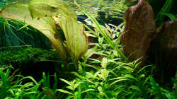 Impressionen August 2015