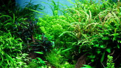 Impressionen August 2015