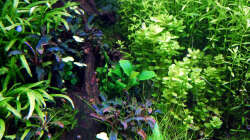 Impressionen Mai 2015