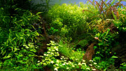 Impressionen Mai 2015