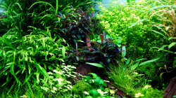 Impressionen August 2015