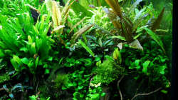 Impressionen Mai 2015