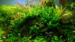 Impressionen Mai 2015