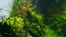 Blick von links im Januar 2015