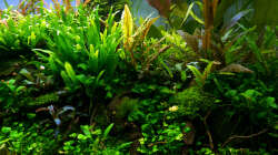 Impressionen Mai 2015