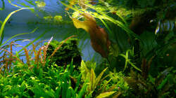 Impressionen Mai 2015