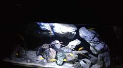 Aquarium Fade to black (aufgelöst)