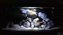 Aquarium Fade to black (aufgelöst)