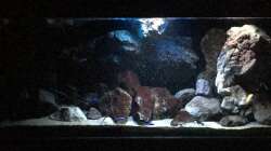 Aquarium Fade to black (aufgelöst)