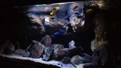 Aquarium Fade to black (aufgelöst)