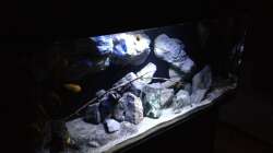 Aquarium Fade to black (aufgelöst)