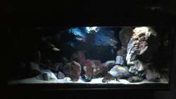 Aquarium Fade to black (aufgelöst)