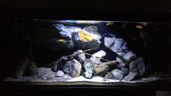 Aquarium Fade to black (aufgelöst)