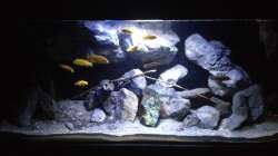 Aquarium Fade to black (aufgelöst)