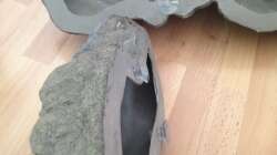 Dekoration im Aquarium Fade to black (aufgelöst)