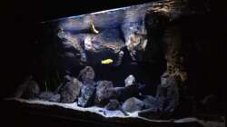 Aquarium Fade to black (aufgelöst)