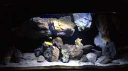 Aquarium Fade to black (aufgelöst)