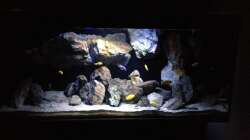 Aquarium Fade to black (aufgelöst)