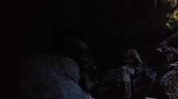 Pflanzen im Aquarium Fade to black (aufgelöst)