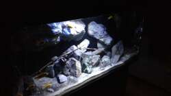 Aquarium Fade to black (aufgelöst)