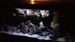 Aquarium Fade to black (aufgelöst)